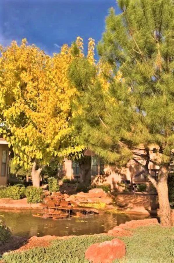 Sedona Pines Resort Exteriör bild A tree in the fall
